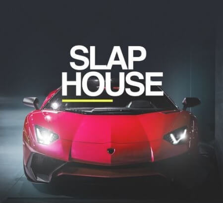 Whitenoise Records Slap House WAV